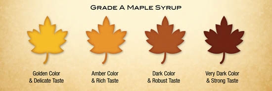Syrup Grades - Golden Color & Delicate Taste, Amber Color & Rich Taste, Dark Color & Robust Taste and Very Dark Color & Strong Taste